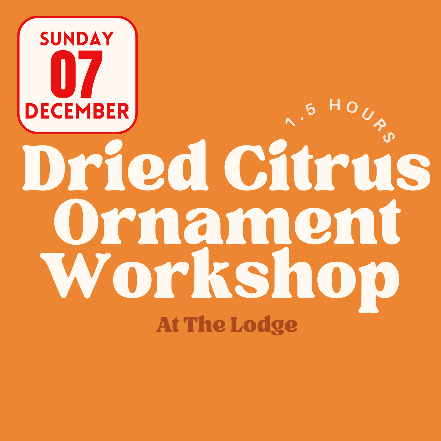 Dried Citrus Ornament Workshop