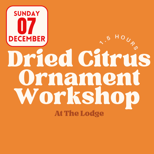 Dried Citrus Ornament Workshop