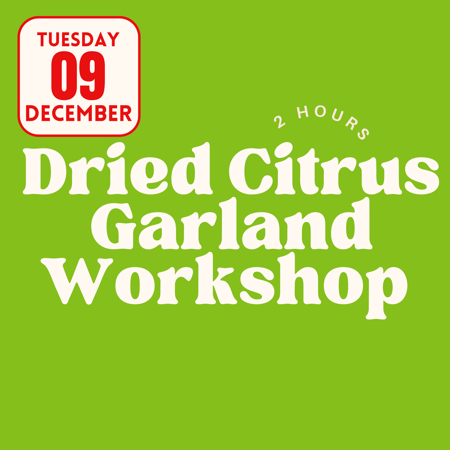 Dried Citrus Garland Workshop