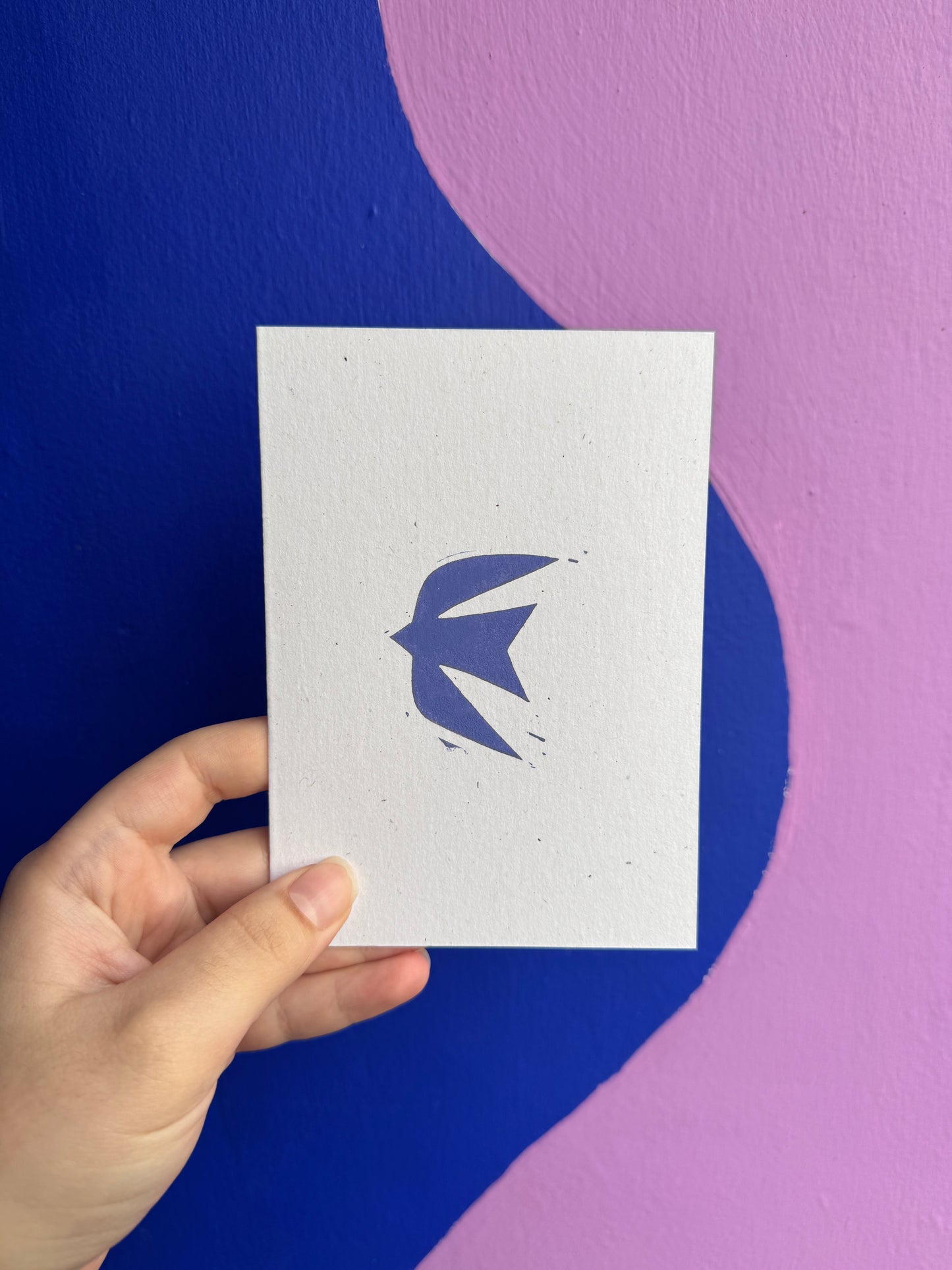 Swallow